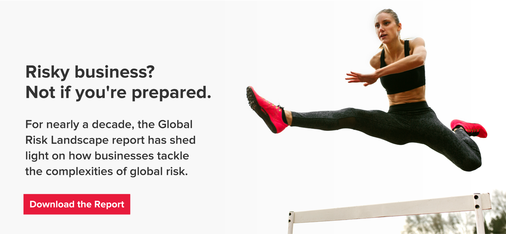 Download the Global Risk Report